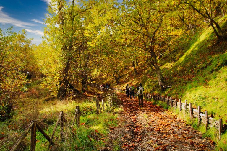 trekking orchi lattani 1 768x512