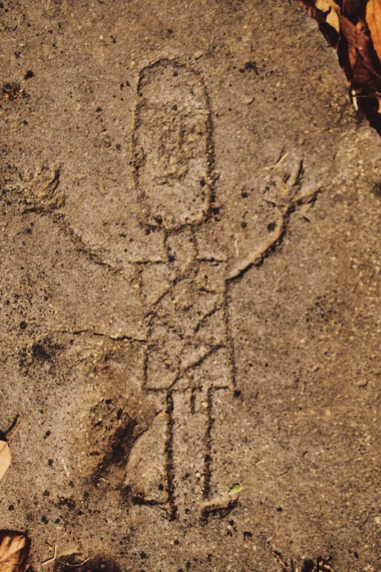 trekking orchi lattani 10 768x1152