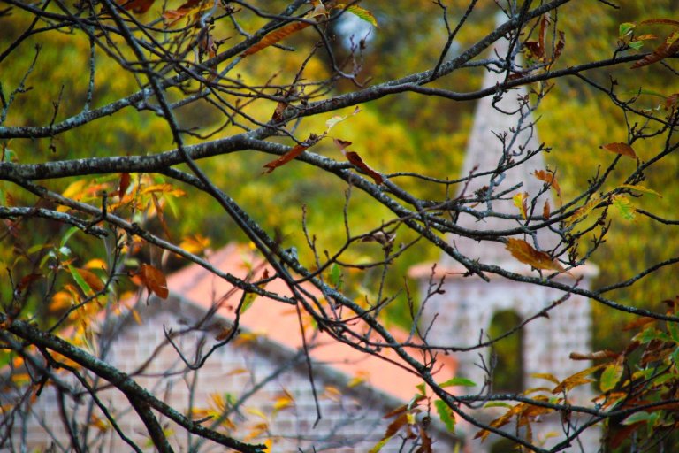 trekking orchi lattani 13 768x512