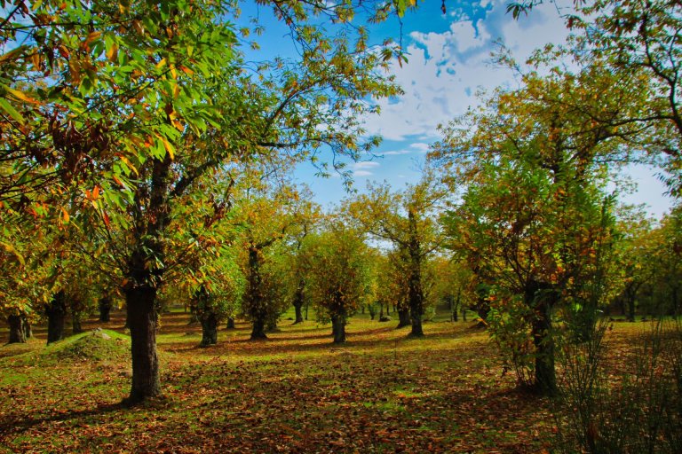 trekking orchi lattani 16 768x512