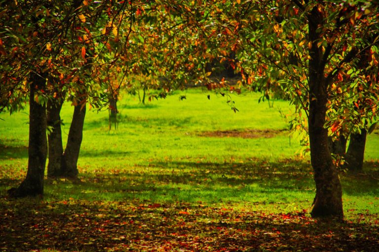 trekking orchi lattani 17 768x512