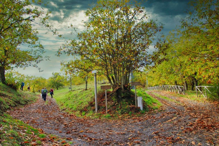 trekking orchi lattani 3 768x512