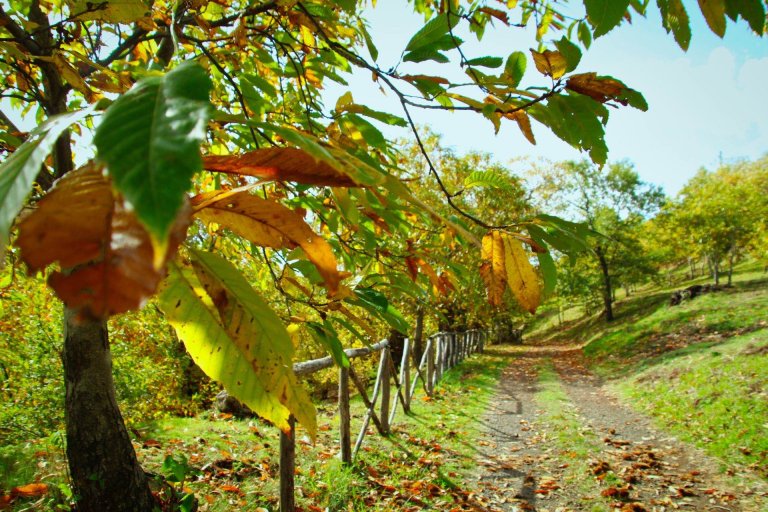 trekking orchi lattani 4 768x512