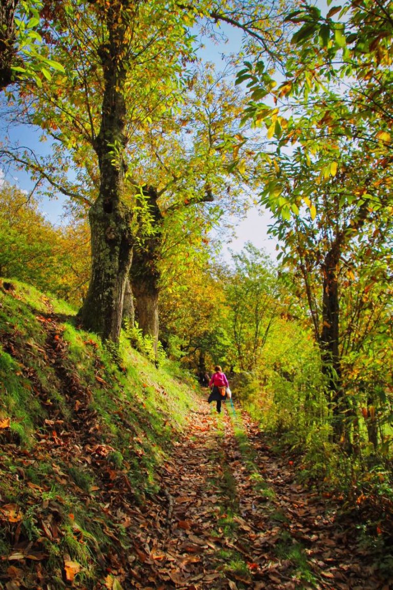 trekking orchi lattani 5 768x1152