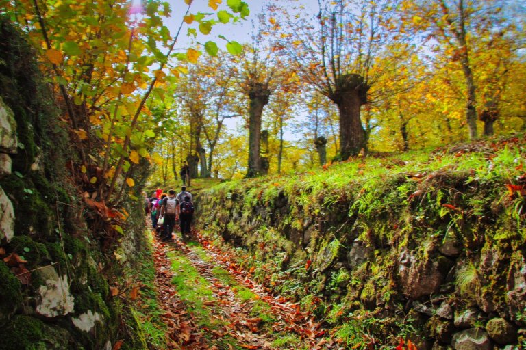 trekking orchi lattani 6 768x512