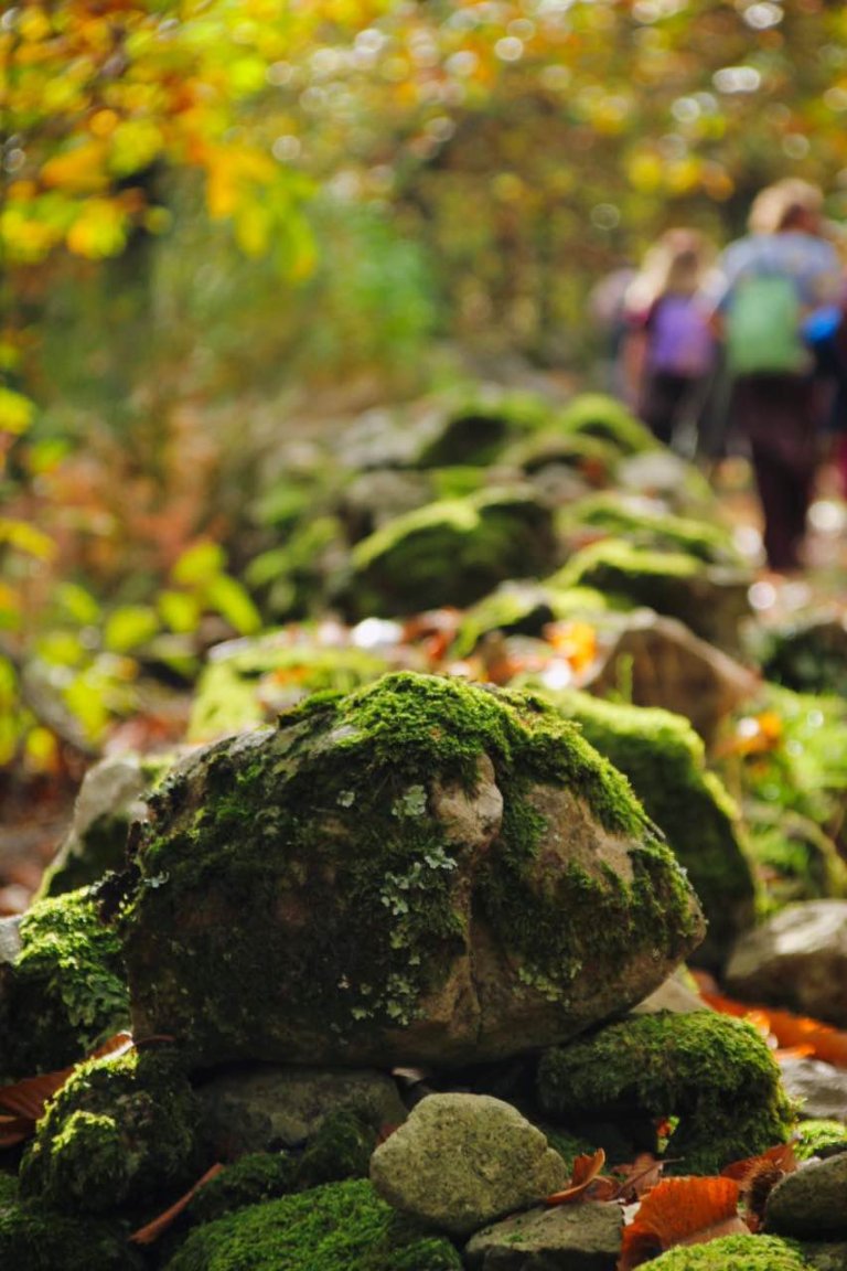 trekking orchi lattani 7 768x1152