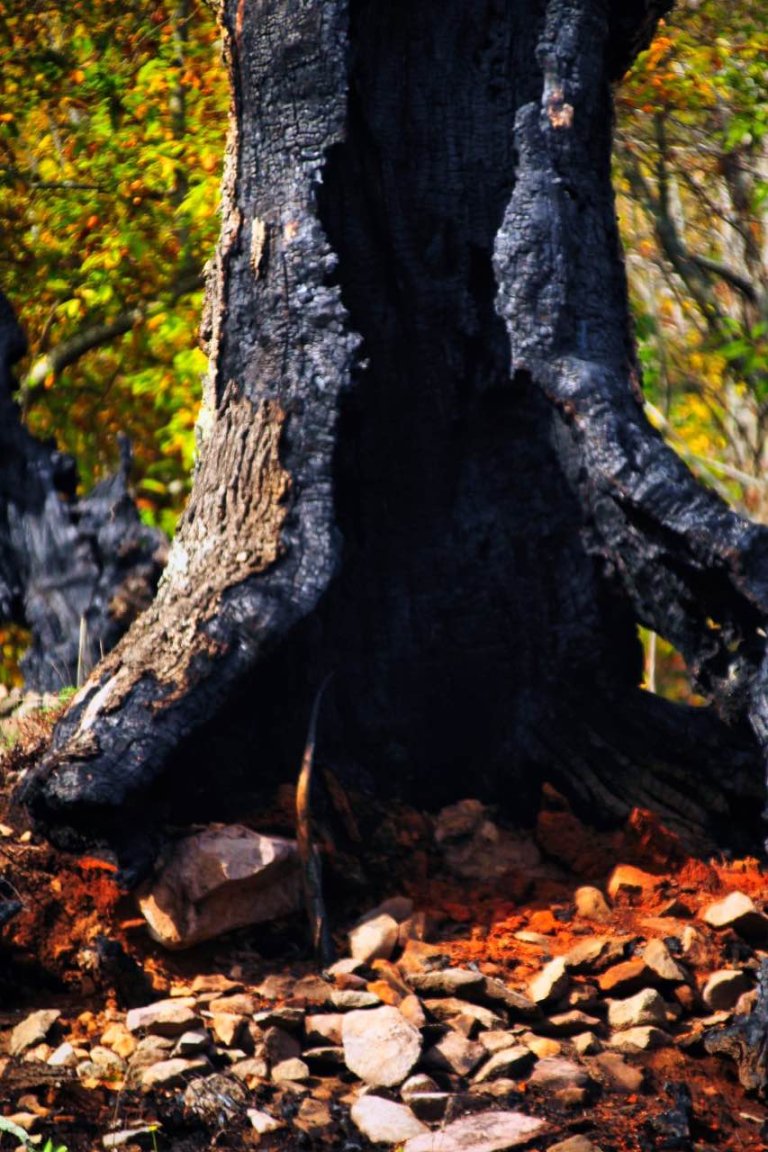 trekking orchi lattani 9 768x1152