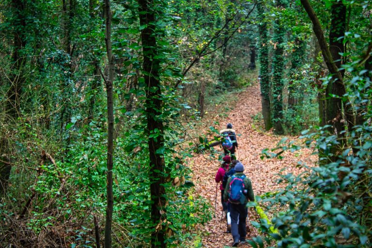trekking-doline-montepugliano-camminiamo trekking-doline-montepugliano-camminiamo