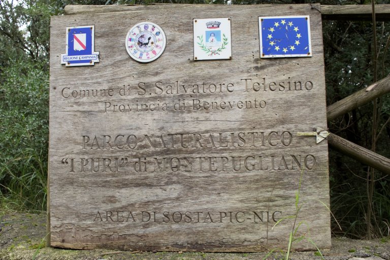 trekking-doline-montepugliano-parco-naturalistico trekking-doline-montepugliano-parco-naturalistico