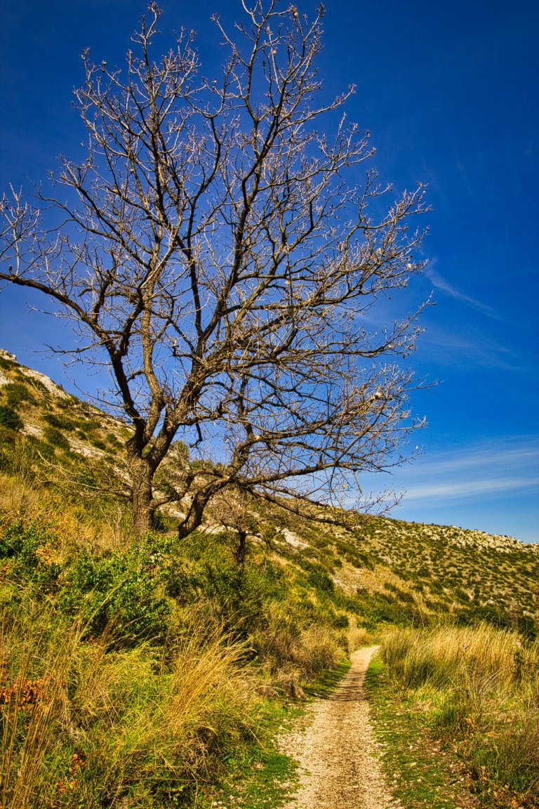 passeggiata vaccheria san leucio 2 768x1152