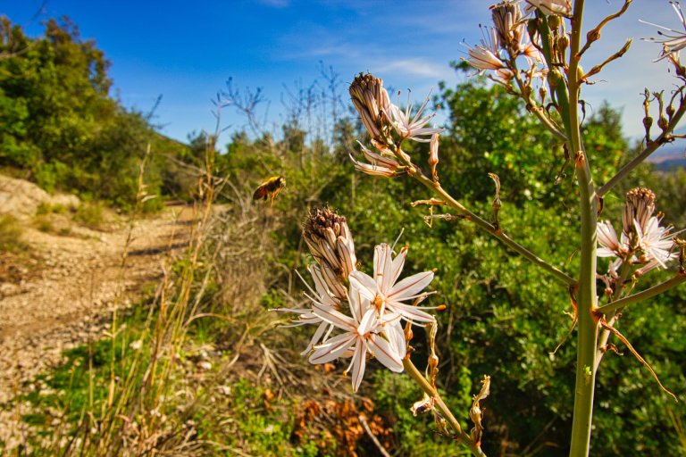 passeggiata vaccheria san leucio 5 768x512