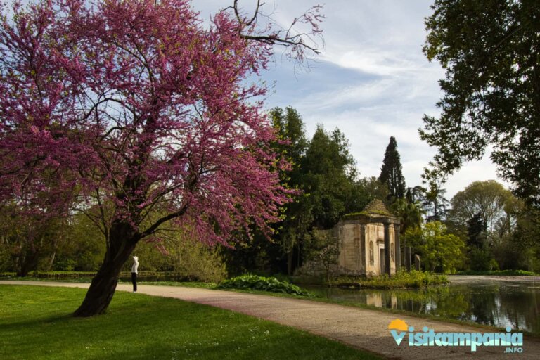 caserta reggia 17 768x512
