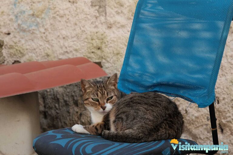 trekking moiariello 04 768x512