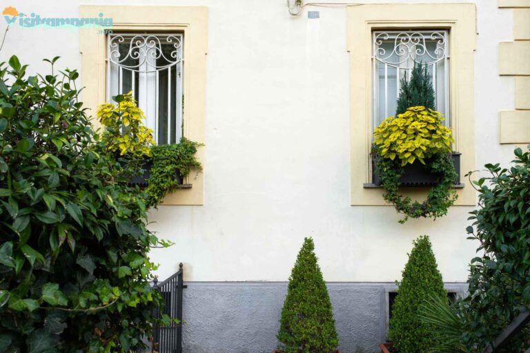 sanleucio vaccheria 00002 768x512