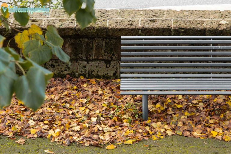 sanleucio vaccheria 00003 768x512