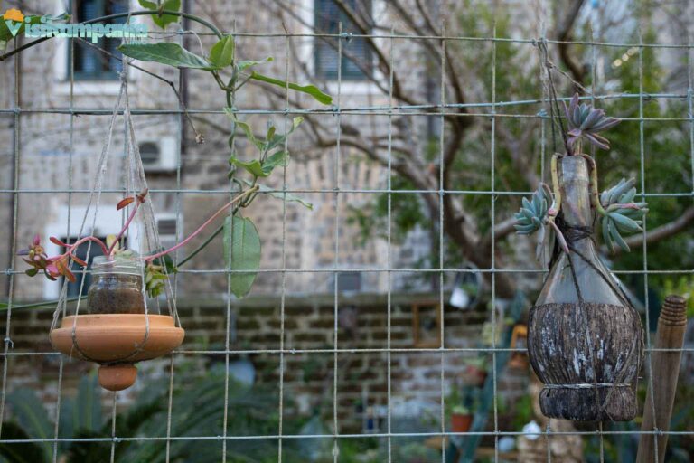 sanleucio vaccheria 00005 768x512