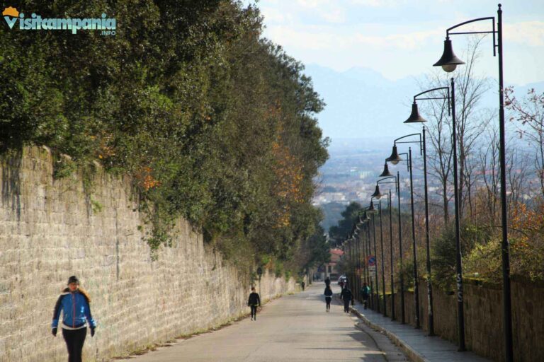 sanleucio vaccheria 00011 768x512