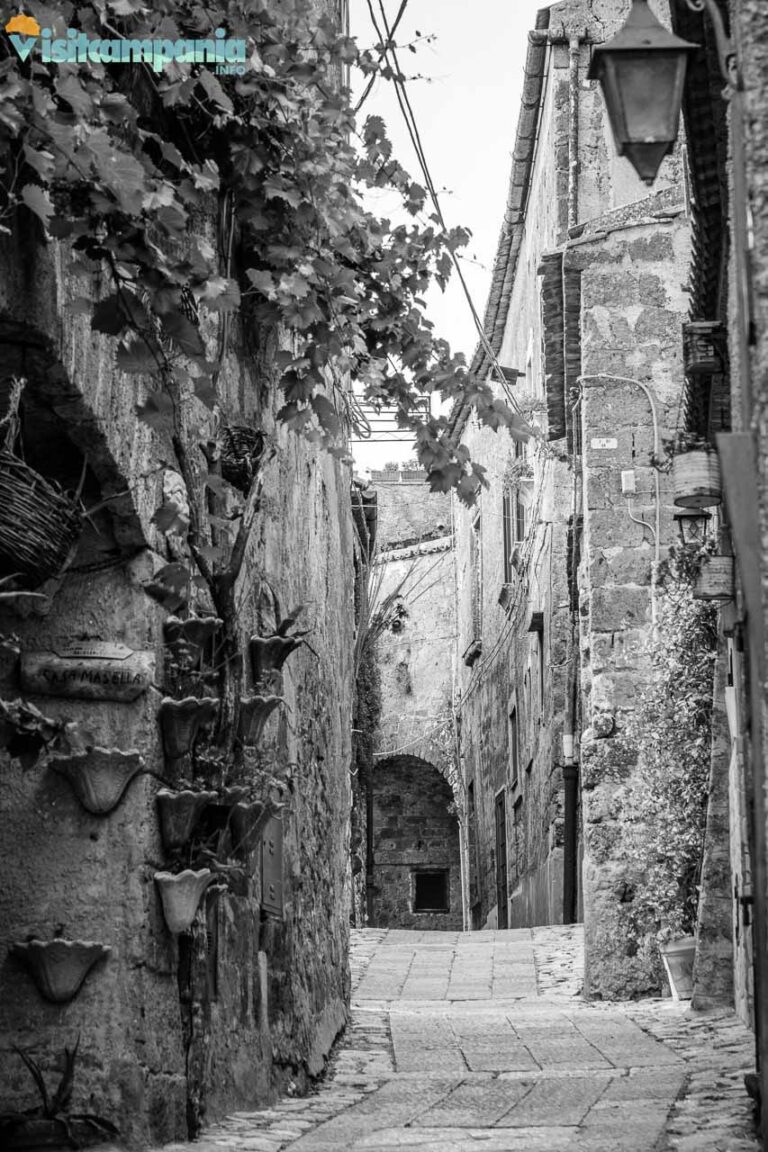 casertavecchia00016 768x1152
