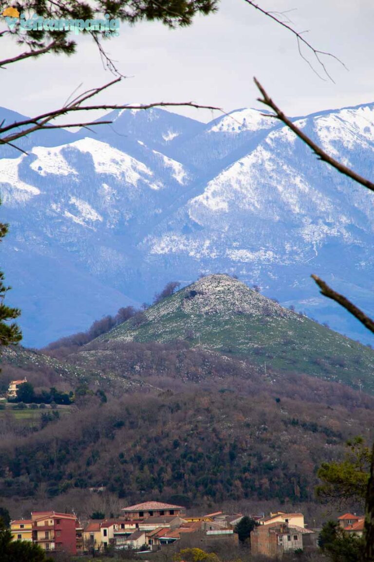 casertavecchia00020 768x1152
