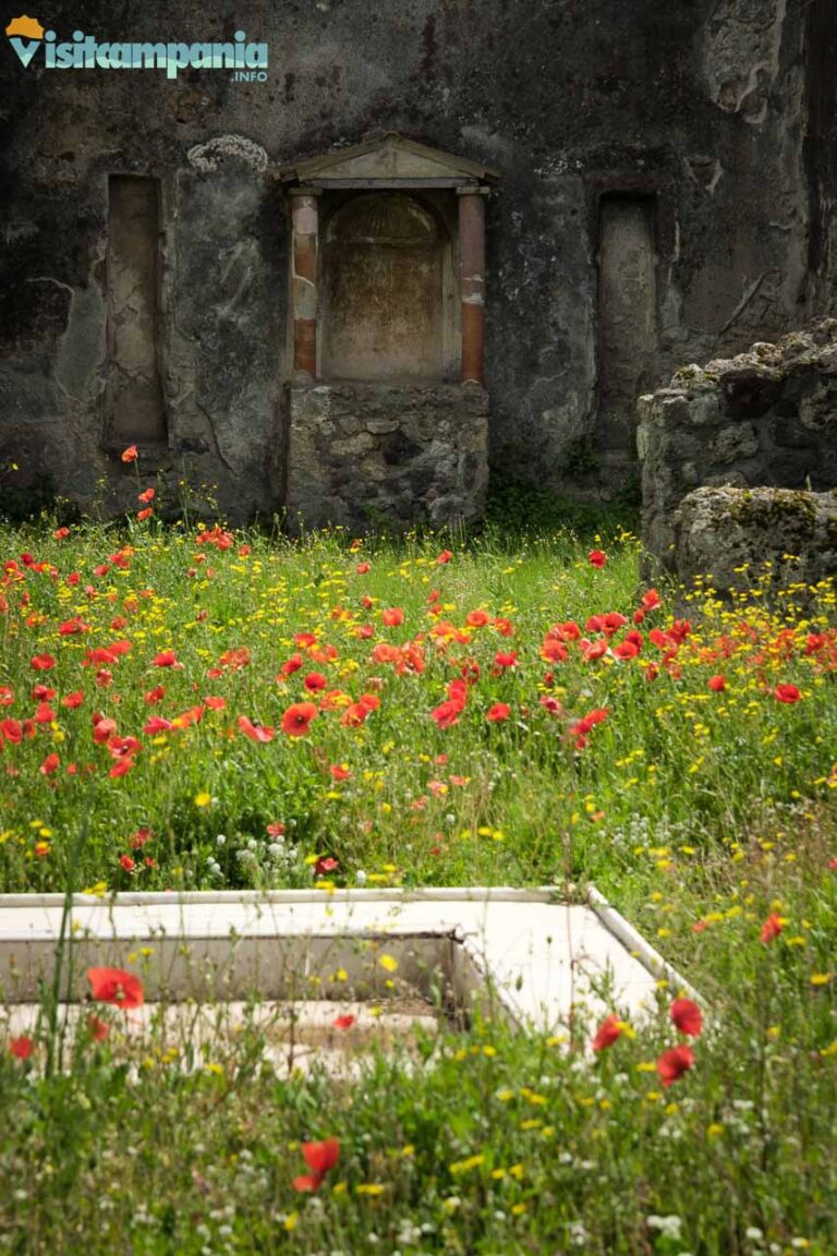 pompei parco archeologico00004 768x1152
