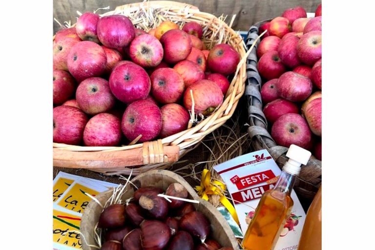 festa della mela 3 1 768x512