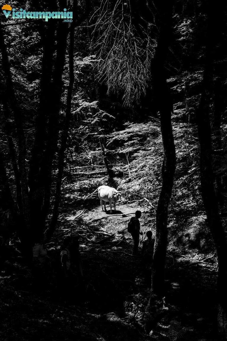 trekking grotta fra gentile 00002 768x1152