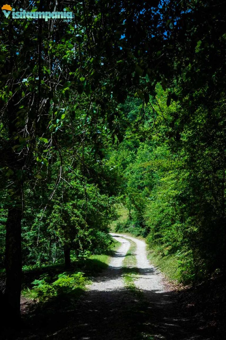 trekking grotta fra gentile 00009 768x1152