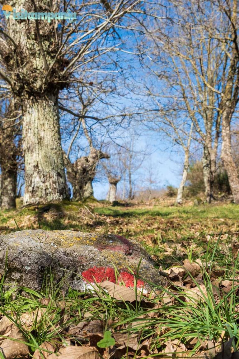 trekking orto della regina 12 768x1152