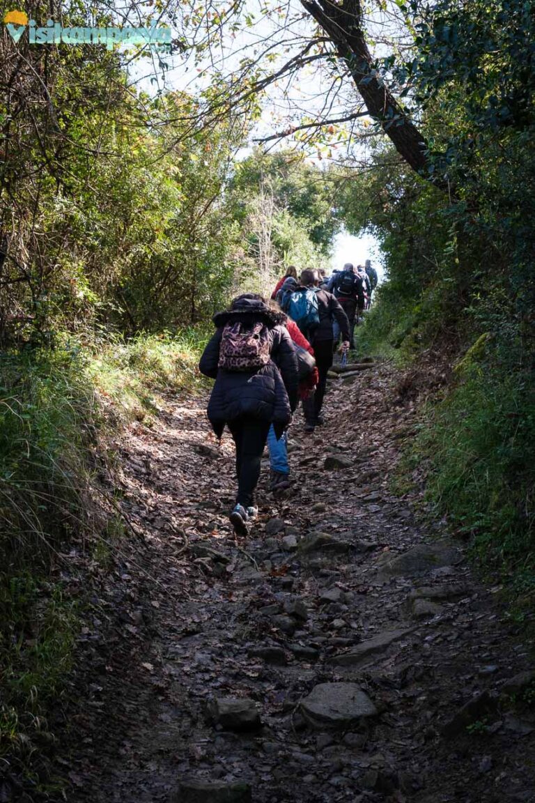 trekking trentova 04 768x1152