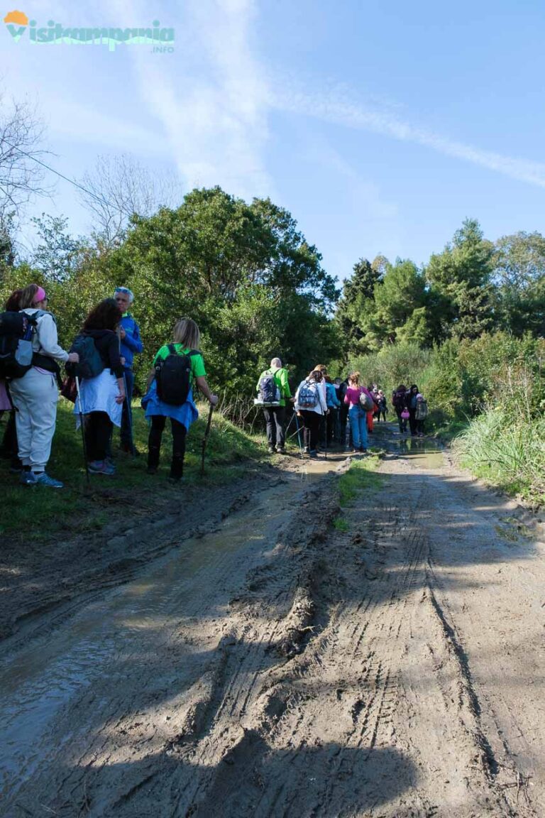 trekking trentova 05 768x1152