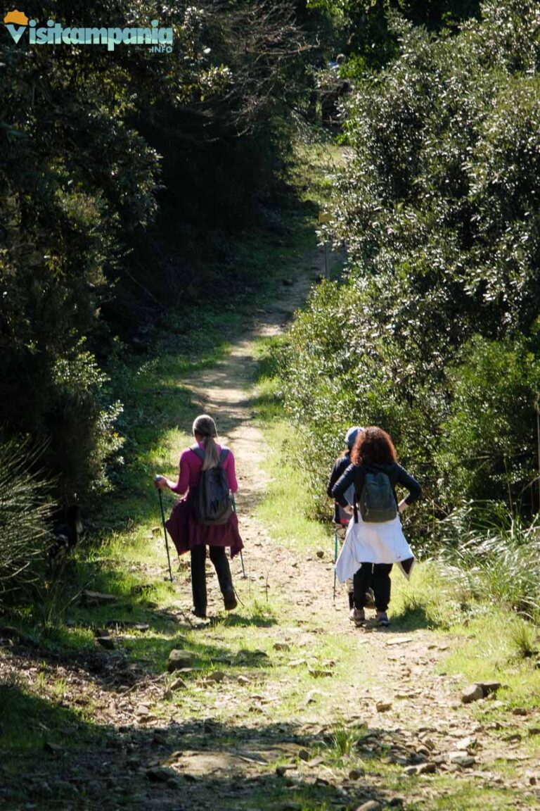 trekking trentova 07 768x1152