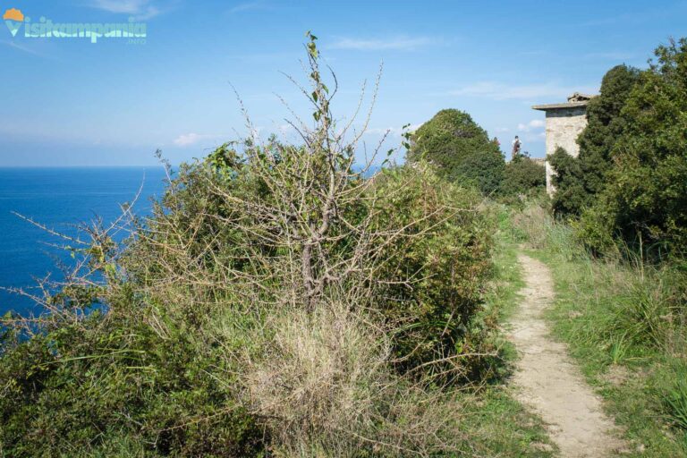 trekking trentova 09 768x512