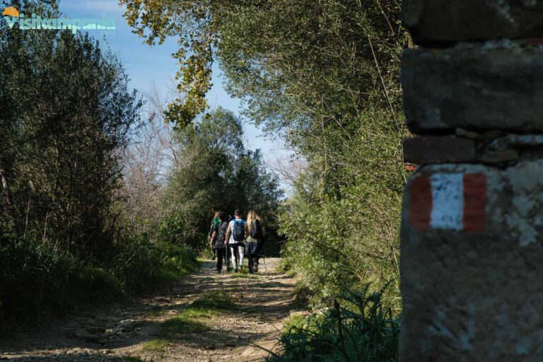 trekking trentova 16 768x512