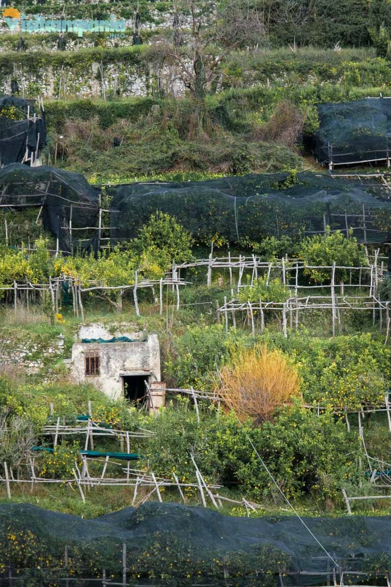 trekking tramonti maiori 06 768x1152