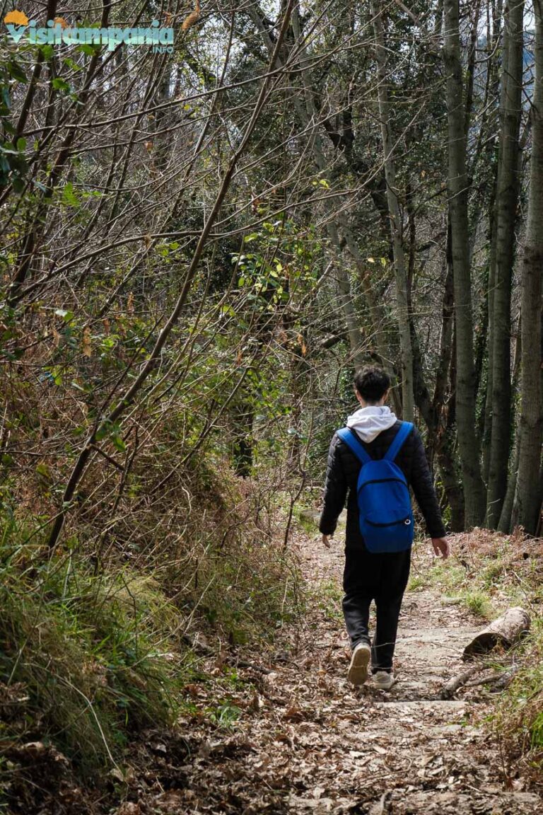 trekking tramonti maiori 10 768x1152