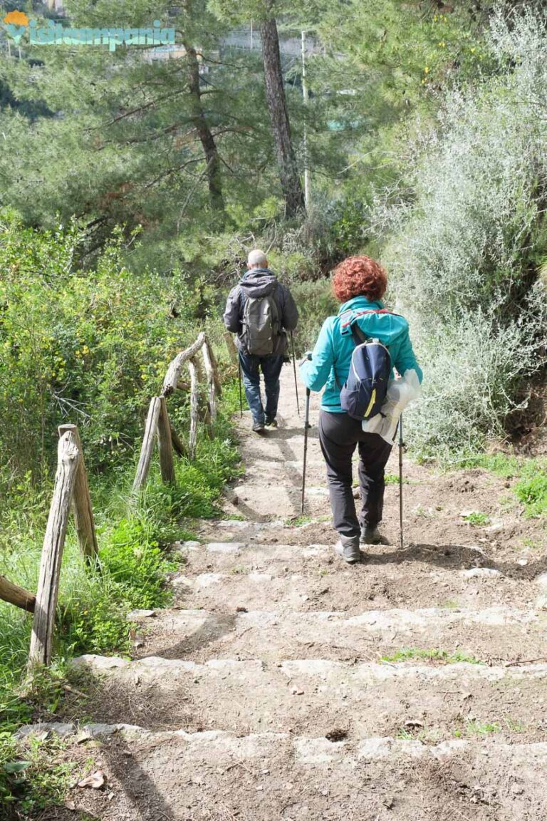 trekking tramonti maiori 12 768x1152