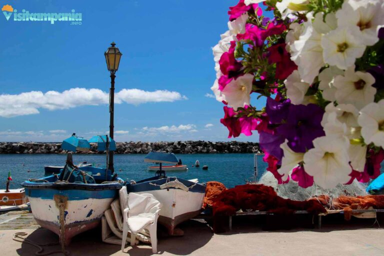 PROCIDA 01 1 768x512