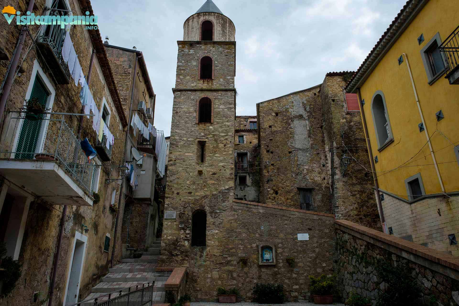 Centola
