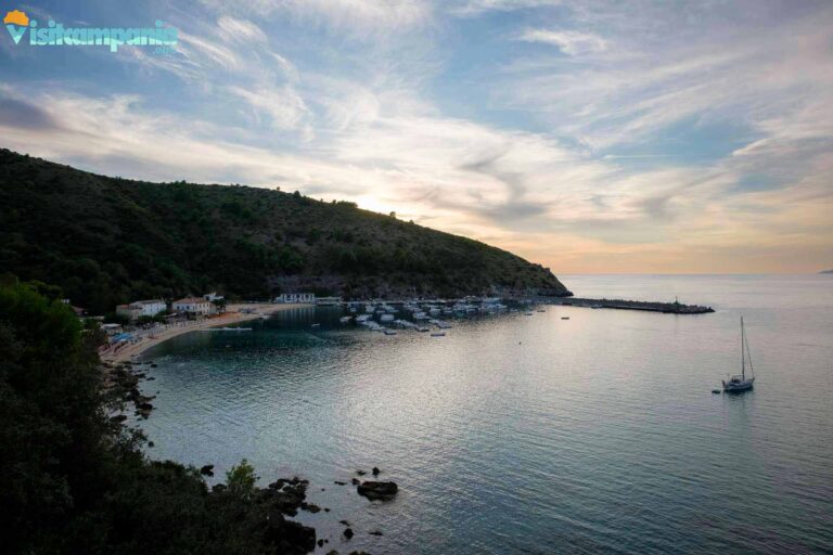 centola palinuro 13 768x512