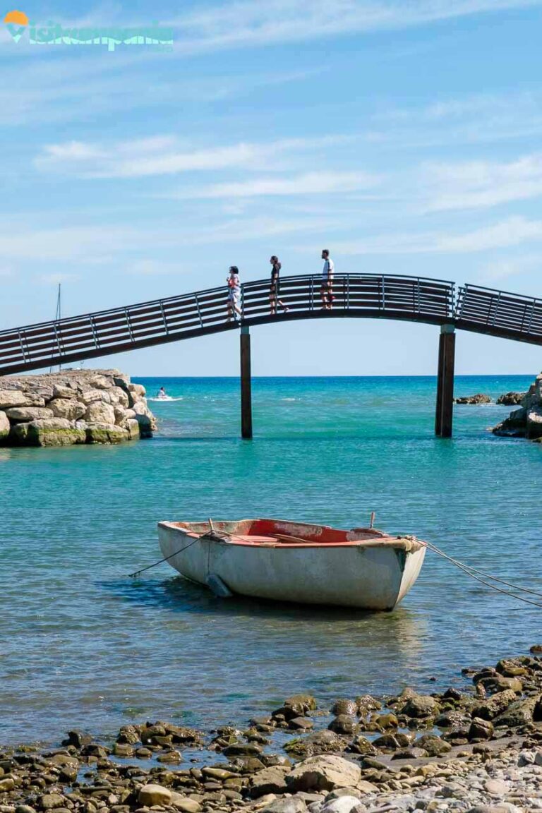 centola palinuro 15 768x1152