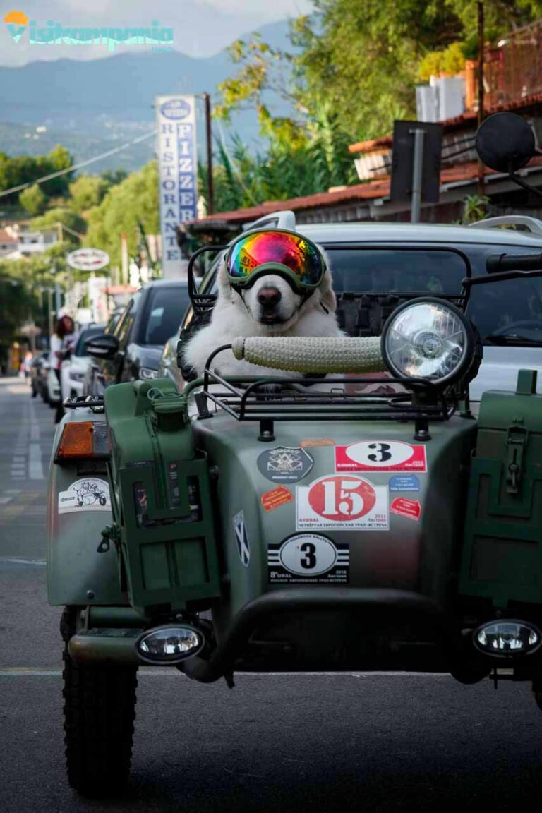 palinuro 07 768x1152