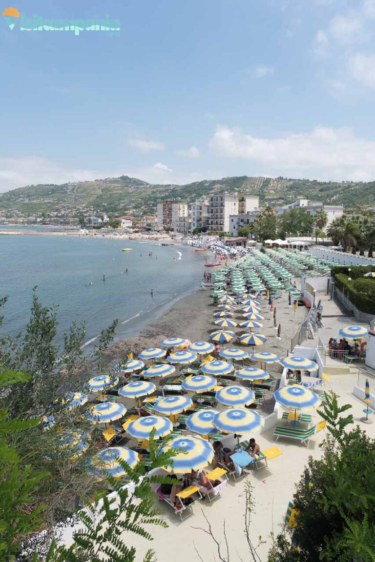 AGROPOLI 00005 768x1152