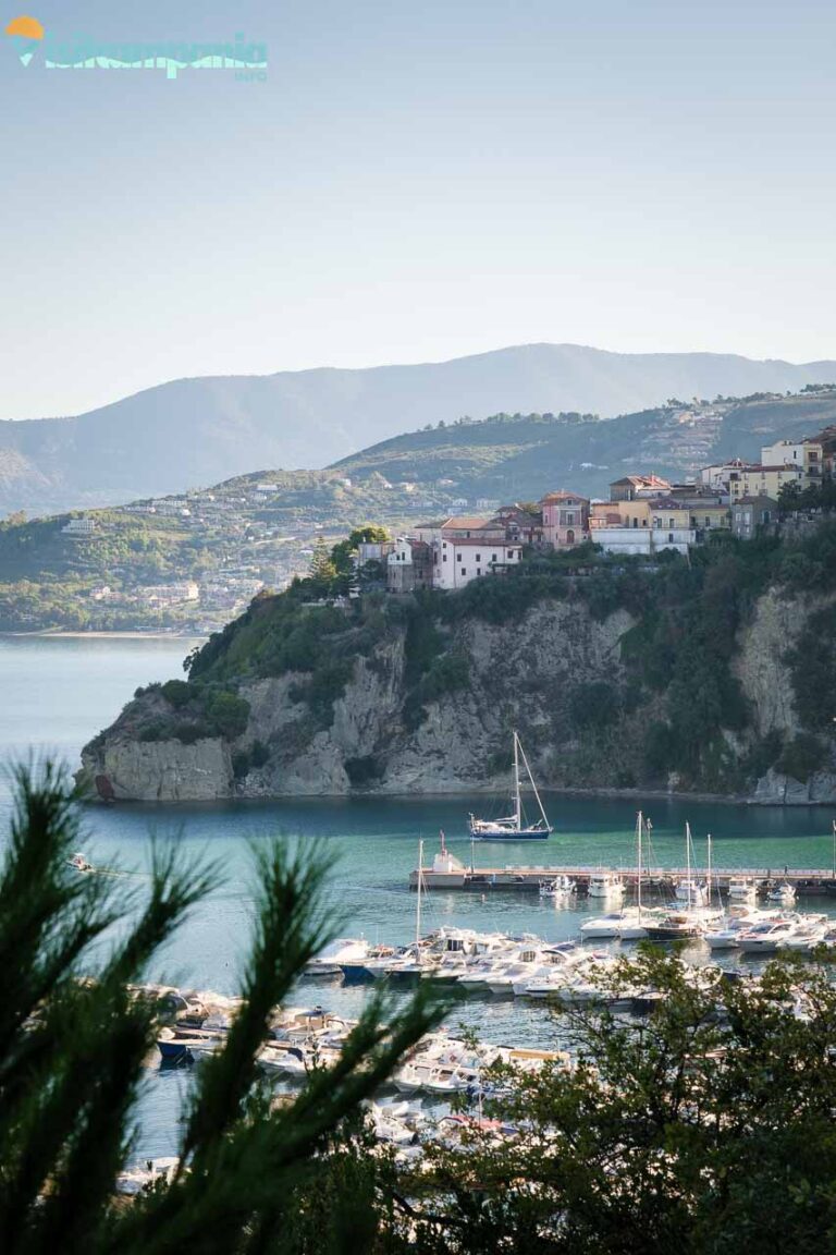 AGROPOLI 00007 768x1152