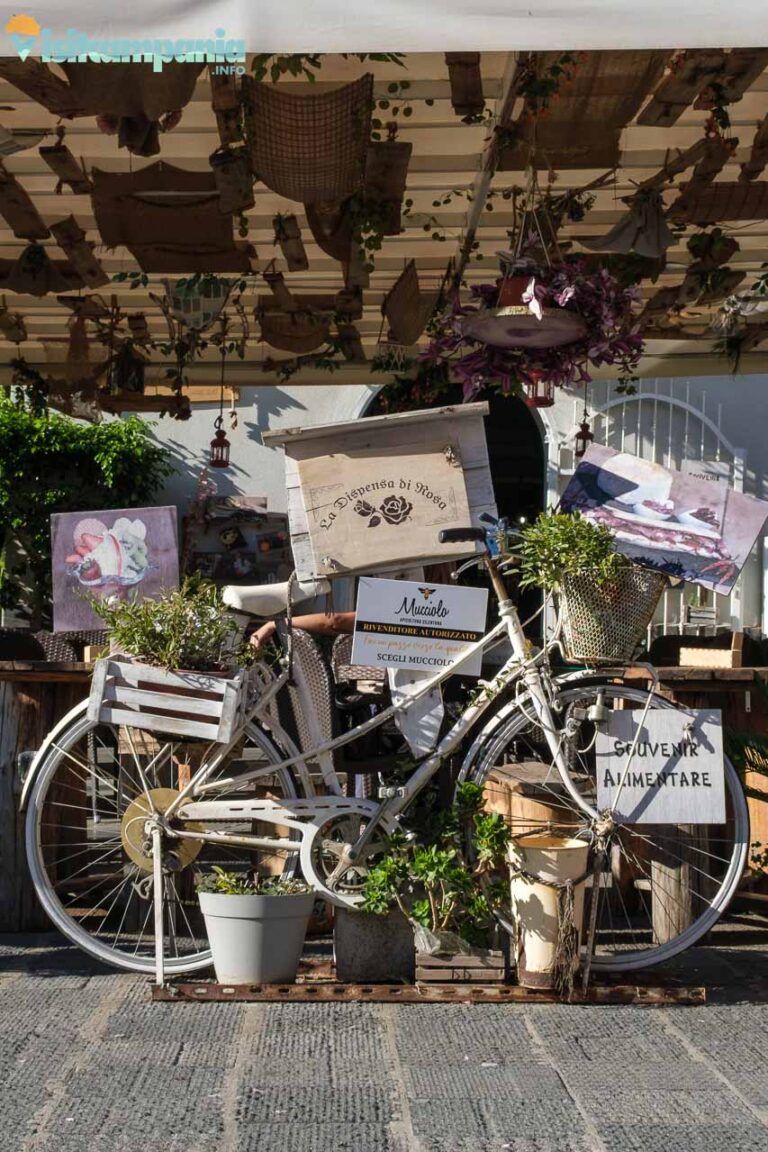 AGROPOLI 00009 768x1152