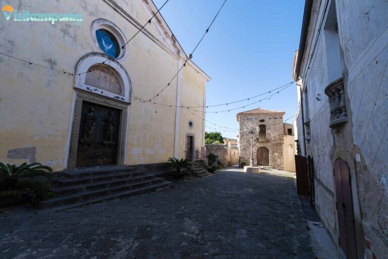 AGROPOLI 00013 768x512