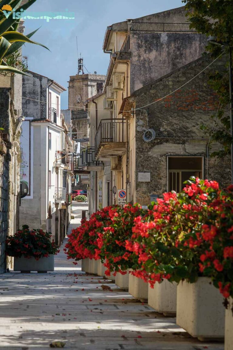 CAPACCIO PAESTUM 00010 768x1152