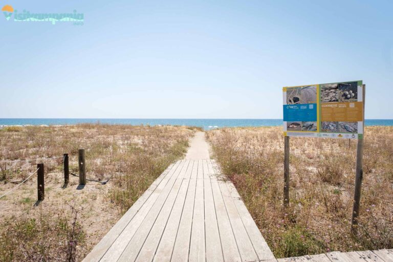 SPIAGGE PAESTUM 00007 768x512