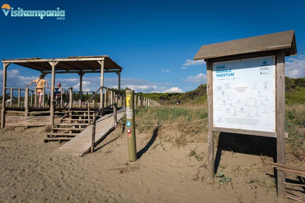 Acceso al oasis de dunas desde la playa de Paestum.