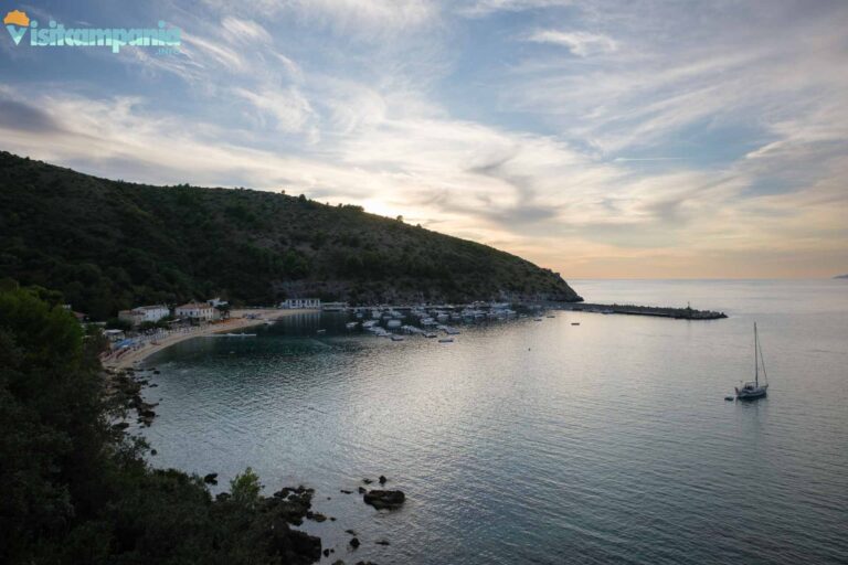 palinuto spiaggia del porto 00009 768x512