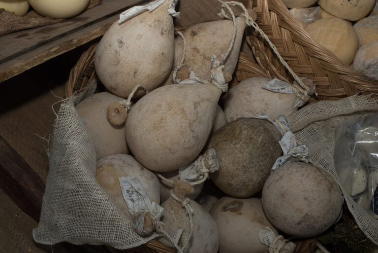 caciocavallo podolico 768x513